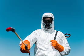 Best Fumigation Services  in Elmont, NY